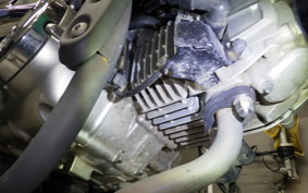 HONDA MONKEY 125 2024 JB02
