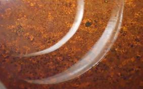 SUZUKI GSX400 IMPULSE 1997 GK79A