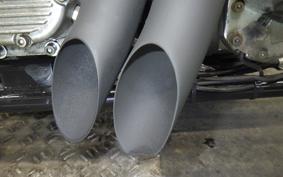 OTHER +UNREGISTERED MODEL by BDS1330 2026