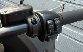 HARLEY FXLRST 2024 YXZ