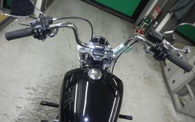 HARLEY FXST1750 2024