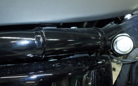 HARLEY FXST1750 2023