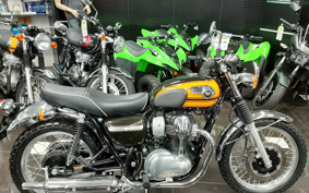 KAWASAKI W800 FE 2020 EJ800A