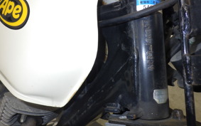 HONDA APE 100 2005 HC07