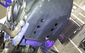 YAMAHA TT250R RAID 2009 4GY