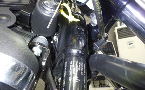 HARLEY XL1200XS 2018