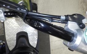 HONDA ZOOMER 2013 AF58
