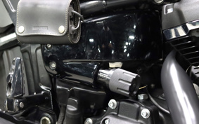 HARLEY FXFBS 2019 LKE