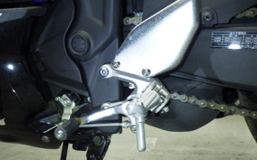 YAMAHA YZF-R3 2019 RH13J