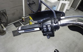 HARLEY FLSB 1750 2023