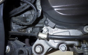 HONDA TACT-4ﾍﾞｰｼｯｸ 2026 AF79