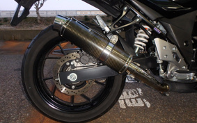 SUZUKI GSX250 R DN11A