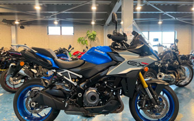 SUZUKI GSX-S1000GX 2024