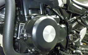 KAWASAKI Z900RS 2024 ZR900K