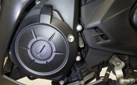 YAMAHA YZF-R25 2007 RG10J