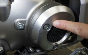 HONDA CT125 HUNTER CUB 2019 JA55