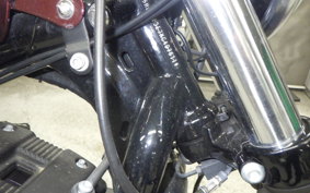 HARLEY XL1200NS 2019