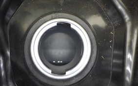 HONDA FORZA 250 MF17