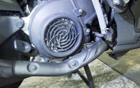 HONDA NAVI110 2026