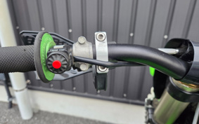 KAWASAKI KX450 F KX450E