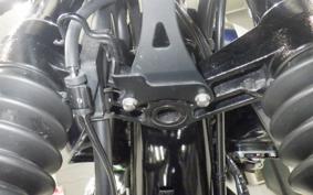 KAWASAKI W800 2022 EJ800E