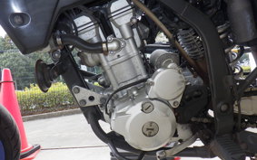 KAWASAKI KLX250D TRACKER 2025 LX250V