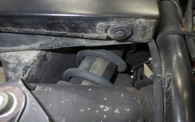 YAMAHA TW225 2021 DG09J