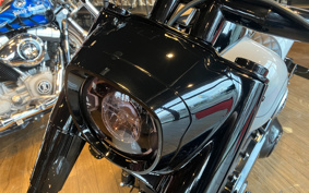 HARLEY FLFB 2025 YF9