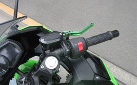 KAWASAKI NINJA 250 EX250P