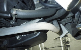 HONDA ZOOMER 2021 AF58