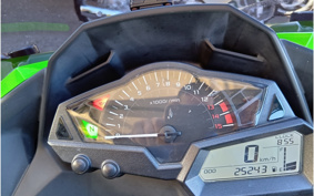KAWASAKI NINJA 250 EX250L