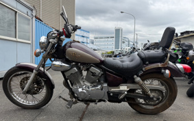 YAMAHA VIRAGO 250 3DM