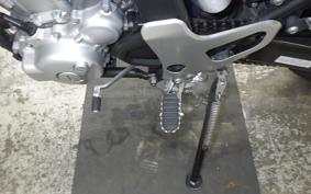 YAMAHA WR250X DG15J