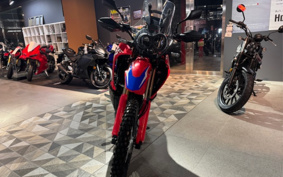 HONDA CRF250 RALLY MD47