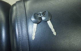 SUZUKI ST250E 2018 NJ4CA