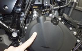 KAWASAKI ELIMINATOR400-3SE 2024 EL400A