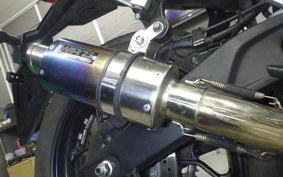 YAMAHA YZF-R25 A 2007 RG43J