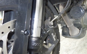 HUSQVARNA SVARTPILEN 250 2021