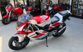 YAMAHA TZR250 R 3XV
