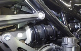 KAWASAKI Z900RS 2020 ZR900C