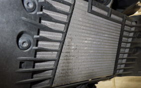 YAMAHA MT-25 2024 RG43J