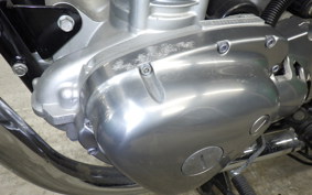 KAWASAKI W800 2015 EJ800A