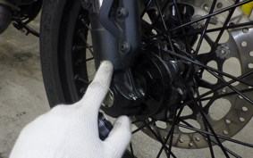 DUCATI SCRAMBLER 2024