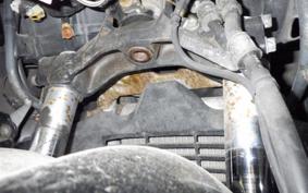 SUZUKI SKYWAVE 250 (Burgman 250) S 2