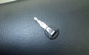 TRIUMPH SPEED TWIN 2019