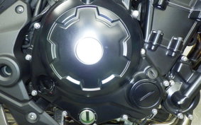 KAWASAKI Z650 RS 2024 ER650R