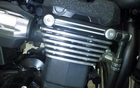 KAWASAKI ZRX1200 D 2017 ZRT20D