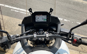 HONDA XL750 TRANSALP  2024 RD16