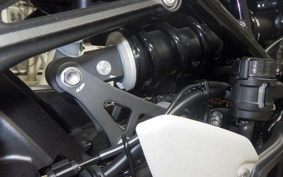 KAWASAKI Z900RS 2023 ZR900K