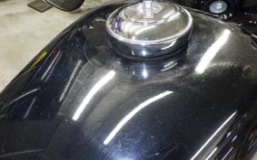 HARLEY XL1200X 2020